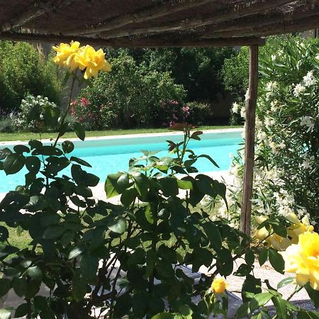 Agriturismo Lupo Vecchio Grosseto Kültér fotó