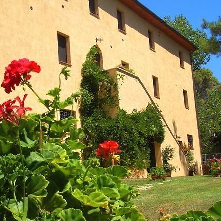 Agriturismo Lupo Vecchio Grosseto Kültér fotó