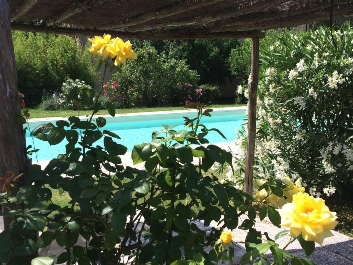 Agriturismo Lupo Vecchio Grosseto Kültér fotó