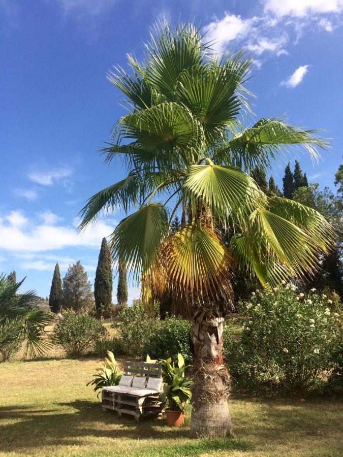 Agriturismo Lupo Vecchio Grosseto Kültér fotó