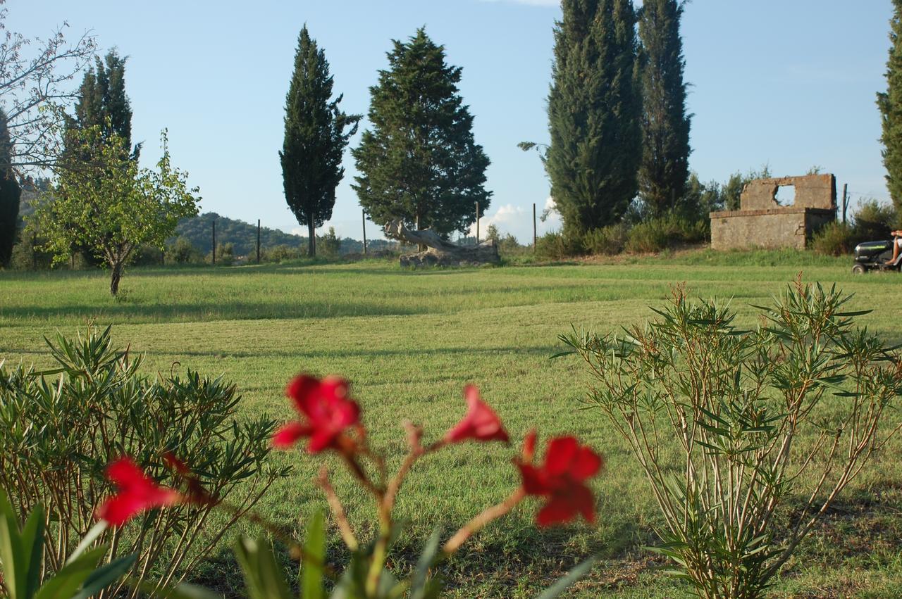 Agriturismo Lupo Vecchio Grosseto Kültér fotó