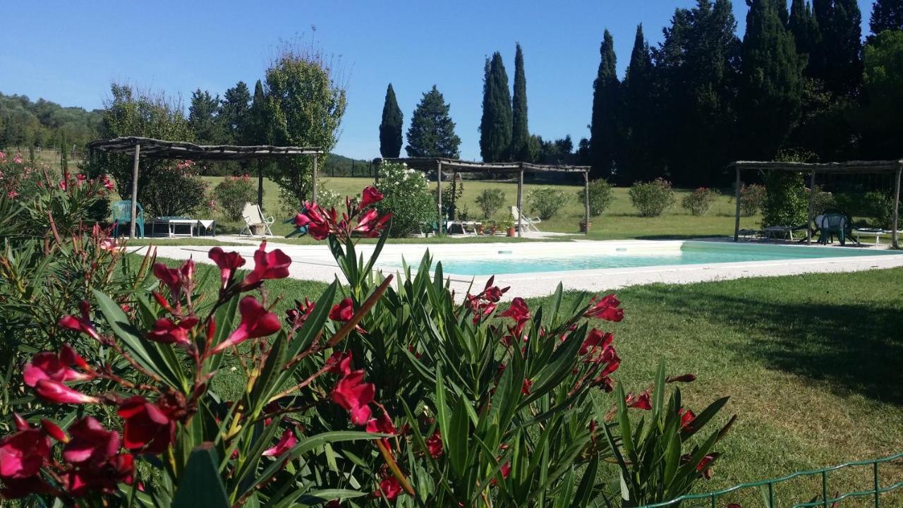 Agriturismo Lupo Vecchio Grosseto Kültér fotó