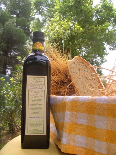 Agriturismo Lupo Vecchio Grosseto Kültér fotó