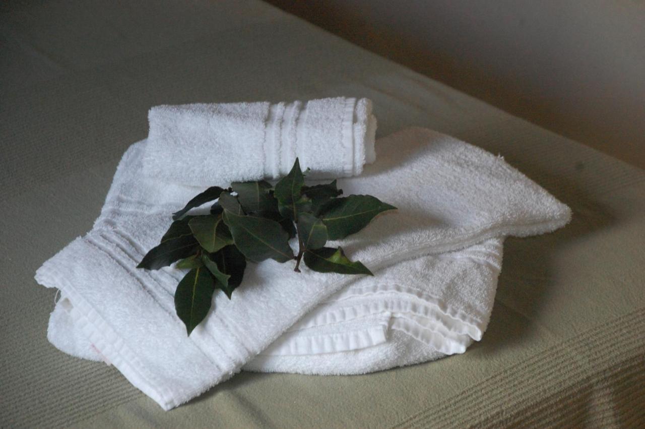 Agriturismo Lupo Vecchio Grosseto Kültér fotó