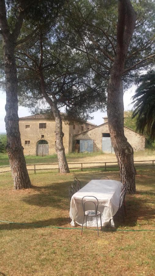 Agriturismo Lupo Vecchio Grosseto Kültér fotó